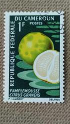 LOT.19 » 1967 YILI KAMERUN MEYVALAR DAMGALI ŞARNİYERSİZ