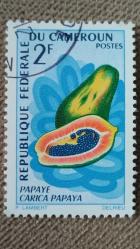 1967 YILI KAMERUN MEYVALAR DAMGALI ŞARNİYERSİZ