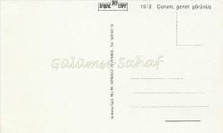 Çorum - Genel Görünüş / Başak Kart