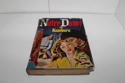 Notre Dame'ın Kamburu (Victor Hugo)