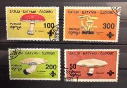 LOT.14 » DAMGALI BATUM MANTAR KONULU PULLAR NO75