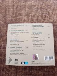 İSTANBULUN SES TELLERİ - BİR ŞİİRİN PANCAROĞLU PROJESİ