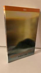 HAYATINIZIN EN GÜZEL YILI - DEBBİE FORD