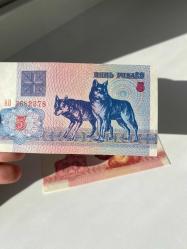 Belarus 1992 Hayvan Temalı Banknot Seti (50 Kapik & 5 Ruble) - Sincap ve Kurt - Çil