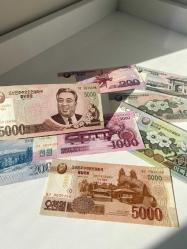 Kuzey Kore Nadir Hatıra Banknot Seti (8 Parça) - Sürşarjlı/Özel Baskı Paralar Dahil - Çil