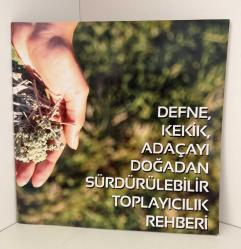 DEFNE, KEKİK, ADAÇAYI DOĞADAN SÜRDÜRÜLEBİLİR TOPLAYICILIK REHBERİ