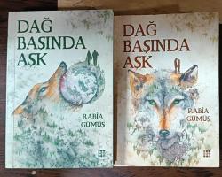 dağ başında aşk(2.kitap) cep boy