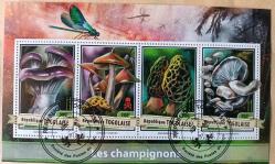 A.2014 2014 MANTARLAR DAMGALI BLOK TOGO