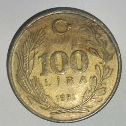 TÜRKİYE  1991   100  LİRA