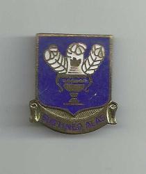 AMERİKAN ORDUSU HAVA KUVVETLERİ TEKNİK EĞİTİM KOMUTANLIĞI BİRLİK NİŞANI...