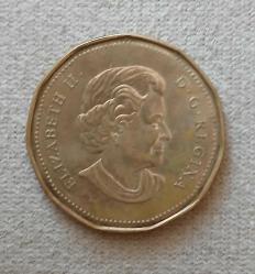 Kanada 1 Dolar 2006 Olimpiyat Hatıra