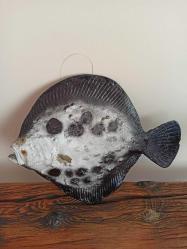''balık figürlü''balıkçılar için asılabilir duvar süsü & 36x30 cm