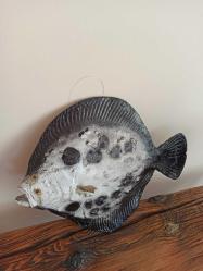 ''balık figürlü''balıkçılar için asılabilir duvar süsü & 36x30 cm