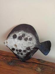 ''balık figürlü''balıkçılar için asılabilir duvar süsü & 36x30 cm