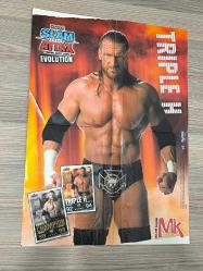 Triple H WWE Poster + NK (Nick Carter) Poster – 40 × 54 cm – 2 Adet Nostaljik Poster