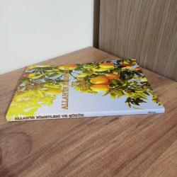 Allah'ın Nimetleri ve Şükür