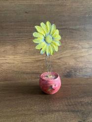 Metal Gövdeli Papatya Saksı