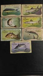 1971 YILI KÜBA SPORTİF BALIKÇILIK  YÜKSEK KATALOG TAM SERİ DAMGASIZ  ŞARNİYERSİZ NADİR