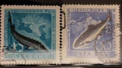 1959 YILI RUSYA BALIKLAR TAM SERİ DAMGALI  ŞARNİYERSİZ