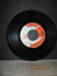 AHMET SEZGİN DERYADA BİR SALIM YOK / ÇALI KUŞU 45 DEVİR PLAK