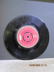 MEHMET GÜÇLÜ SENSİZ NASIL YAŞARIM / YIRTIK RESİM 45 DEVİR PLAK