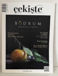 ÇEKİŞTE YAŞAM DERGİSİ - 11.SAYI