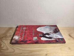 Kanadı Kırık Melek'in Kanadına Takılanlar