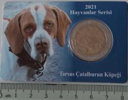 2021 HAYVANLAR SERİSİ TARSUS ÇATALBURUN KÖPEĞİ 1 KURUŞ BİMETAL HATIRA PARA ÖZEL KİTİNDE ÇİL ORİJİNAL E2ÇÇÇ1 NADİR