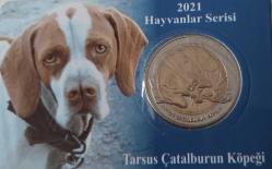 2021 HAYVANLAR SERİSİ TARSUS ÇATALBURUN KÖPEĞİ 1 KURUŞ BİMETAL HATIRA PARA ÖZEL KİTİNDE ÇİL ORİJİNAL E2ÇÇÇ1 NADİR