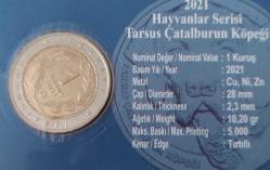 2021 HAYVANLAR SERİSİ TARSUS ÇATALBURUN KÖPEĞİ 1 KURUŞ BİMETAL HATIRA PARA ÖZEL KİTİNDE ÇİL ORİJİNAL E2ÇÇÇ1 NADİR