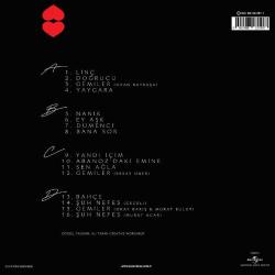 Paşa Gönül Şarkıları (Kırmızı 2 Plak) Sezen Aksu