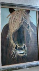 Vintage At Portresi Tablo – Çerçeveli Büyük Boy Dekoratif Eser (64x84 cm)