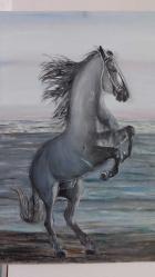 Şahlanan At – Deniz Manzaralı Dekoratif Tablo | 60x80 cm