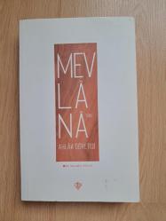 Mevlana'nın Ahlak Öğretisi