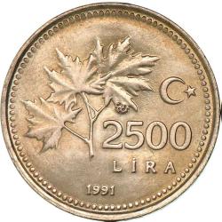 Türkiye Cumhuriyet 1991 Yılı 2500 Lira Kenar Yazısı Turaya Göre Ters  (0268)