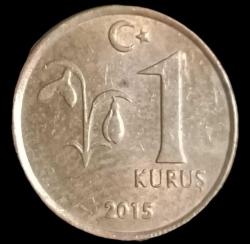 2015 1 Kuruş
