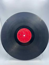 DİYARBAKIRLI CELAL GÜZELSES / EVLERİN ÖNÜ KAVAK - EYVANDA YATAN