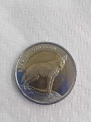 Zırtlan hayvanlar serisi çil