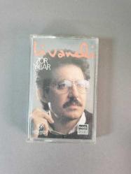 ZÜLFÜ LİVANELİ - ZOR YILLAR - KASET*