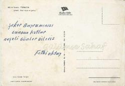 İzmit - Şeftali, Otel Asya ve Gurup / Keskin Color