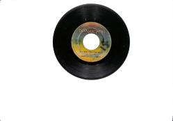 Yüksel Özkasap - Nasıl Oldu Yolum Düştü Köln'e & Emo PLAK (10/6.5) PLK26457