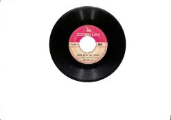 Şükran Ay - Ömür Biter Yol Bitmez & Yalan Yalan Değil PLAK (10/6.5) PLK26458