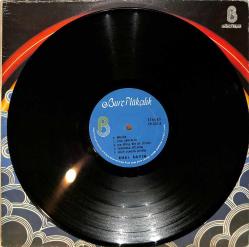 Emel Sayın - Rüzgar LP PLAK (10/7.5) PLK26572