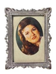Gülden Karaböcek Çerçeveli Resim (Küçük Boy) KRT24074