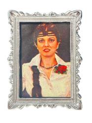 Gülden Karaböcek Çerçeveli Resim (Küçük Boy) KRT24082