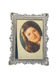 Gülden Karaböcek Çerçeveli Resim (Küçük Boy) KRT24084