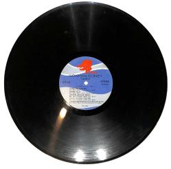 Gökhan Güney – Yaşadıkça LP PLAK (Açıklamayı Okuyunuz) PLK26681