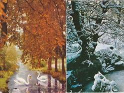 Manzara Temalı 2li Kartpostal KRT10728