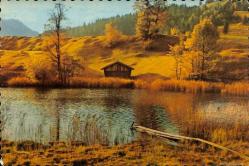 Manzara - Sonbaharda Doğa Temalı Kartpostal KRT12635