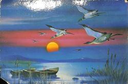 Manzara - Ördek Ve Sandal Temalı Kartpostal KRT12709